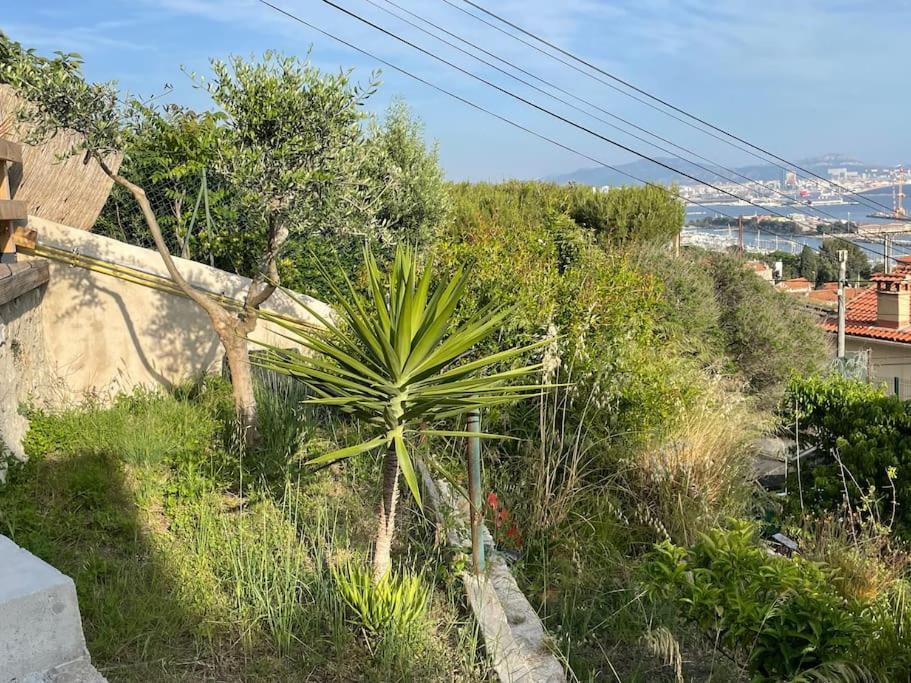 Superbe Terrasse Avec Vue Panoramique Sur La Mer Marseille Ngoại thất bức ảnh