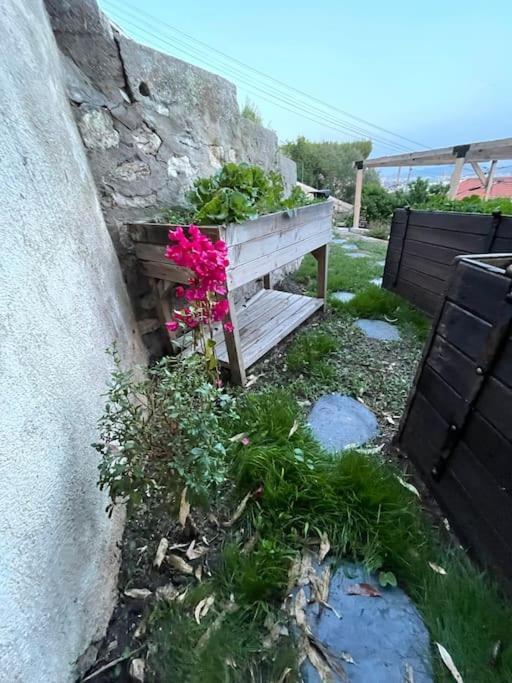 Superbe Terrasse Avec Vue Panoramique Sur La Mer Marseille Ngoại thất bức ảnh