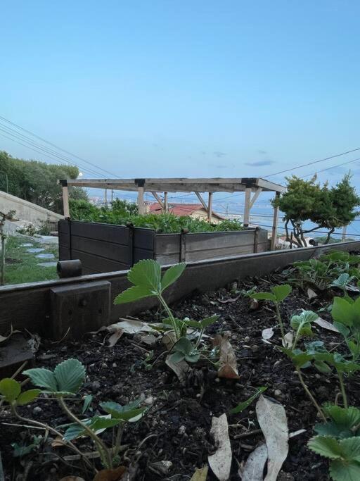 Superbe Terrasse Avec Vue Panoramique Sur La Mer Marseille Ngoại thất bức ảnh
